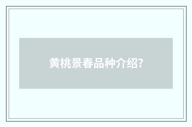 黄桃景春品种介绍？