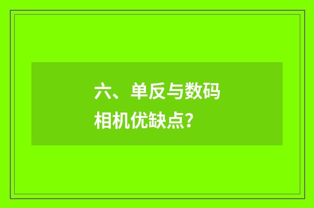 六、单反与数码相机优缺点？
