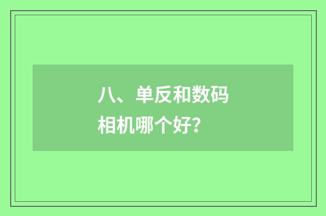 八、单反和数码相机哪个好？