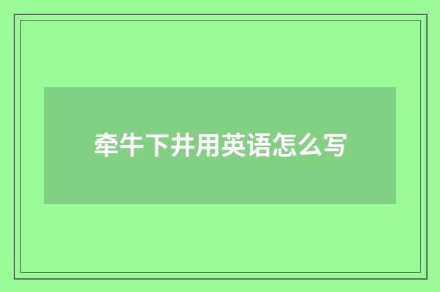 牵牛下井用英语怎么写
