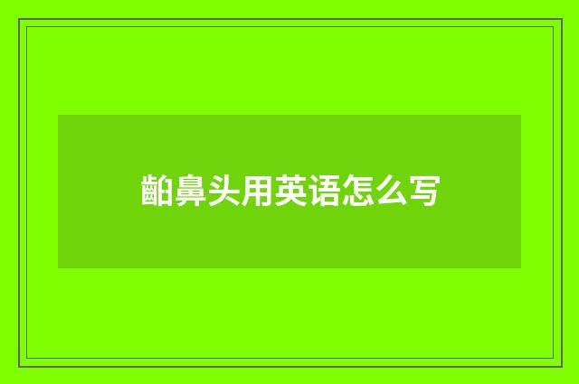 齨鼻头用英语怎么写