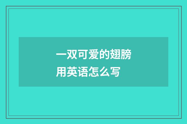 一双可爱的翅膀用英语怎么写