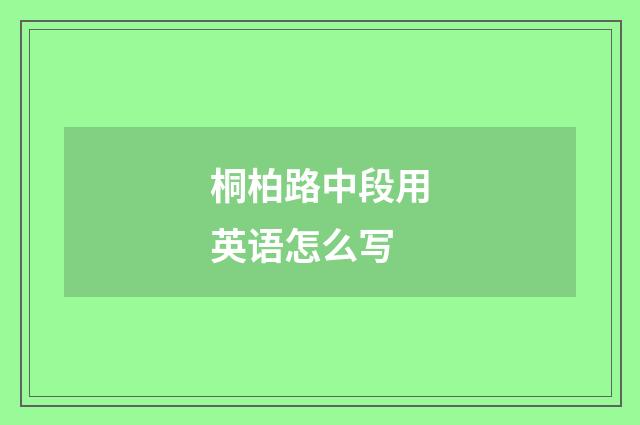 桐柏路中段用英语怎么写