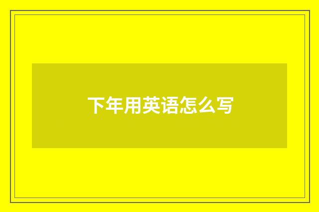 下年用英语怎么写