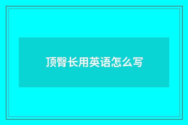 顶臀长用英语怎么写