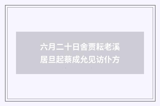 六月二十日舍贾耘老溪居旦起蔡成允见访仆方
