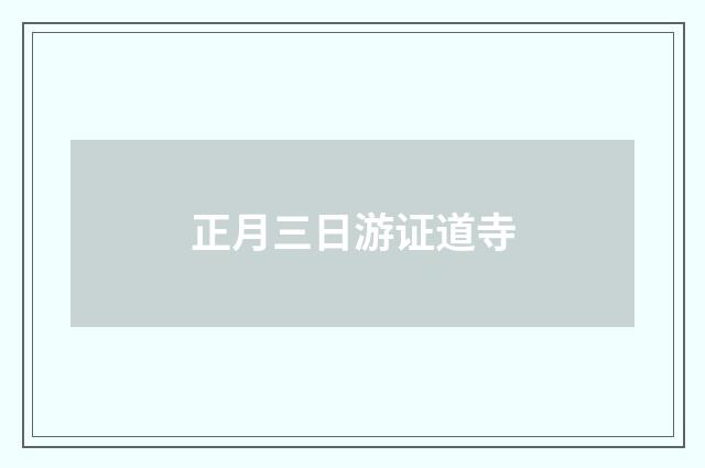 正月三日游证道寺