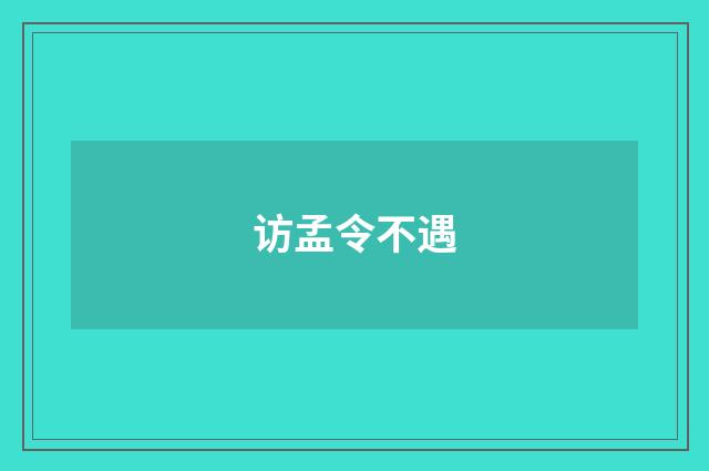 访孟令不遇