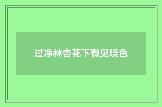 过净林杏花下微见晓色