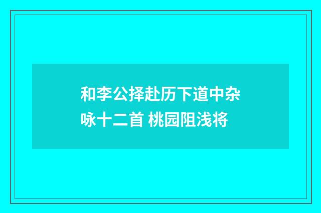 和李公择赴历下道中杂咏十二首 桃园阻浅将