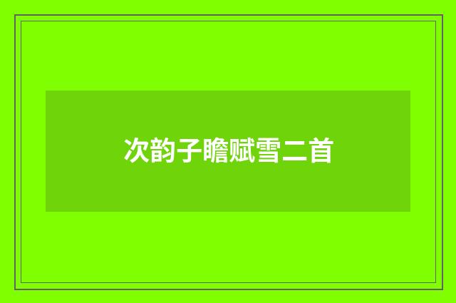 次韵子瞻赋雪二首