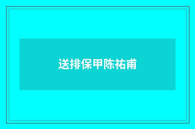 送排保甲陈祐甫