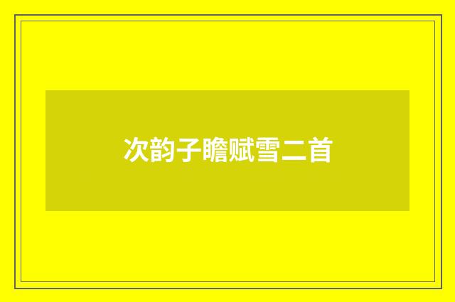 次韵子瞻赋雪二首