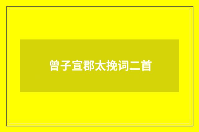 曾子宣郡太挽词二首
