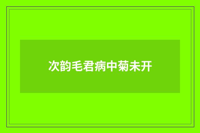 次韵毛君病中菊未开