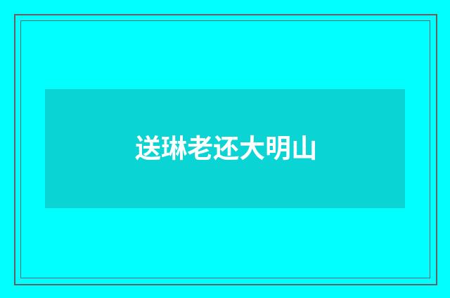 送琳老还大明山