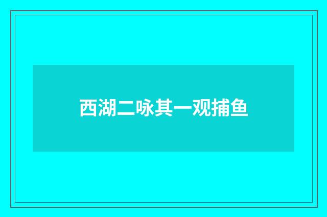 西湖二咏其一观捕鱼