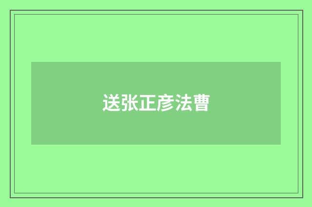 送张正彦法曹