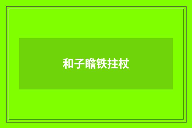 和子瞻铁拄杖
