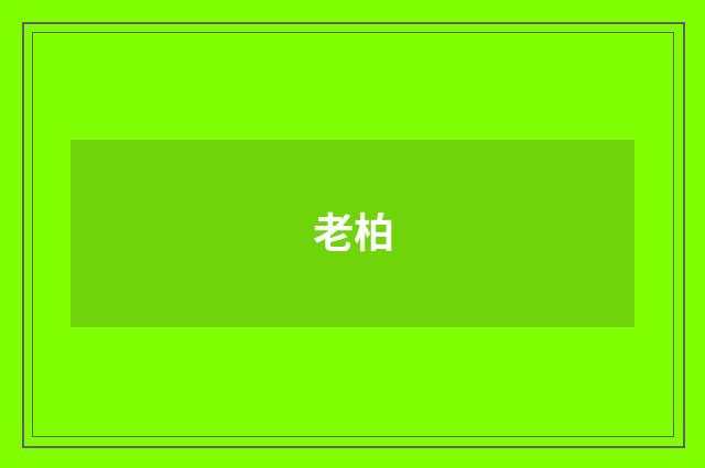 老柏