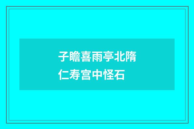 子瞻喜雨亭北隋仁寿宫中怪石