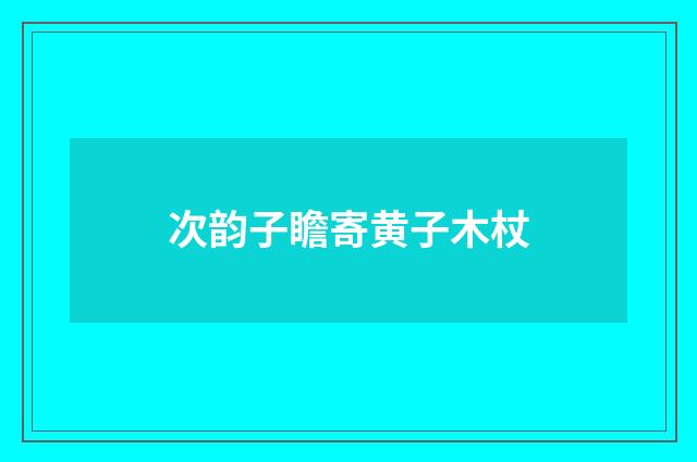 次韵子瞻寄黄子木杖