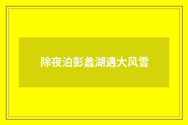 除夜泊彭蠡湖遇大风雪