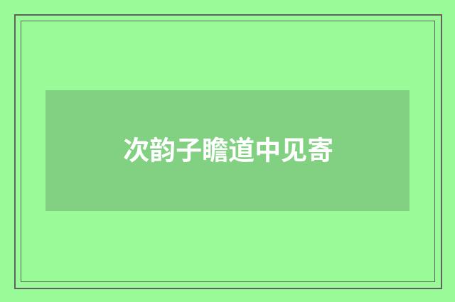 次韵子瞻道中见寄