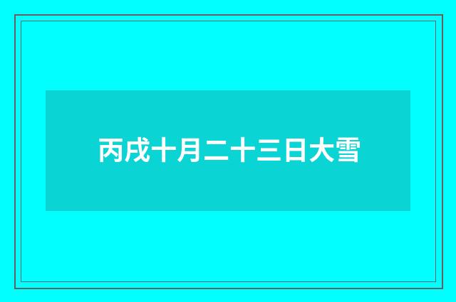 丙戌十月二十三日大雪