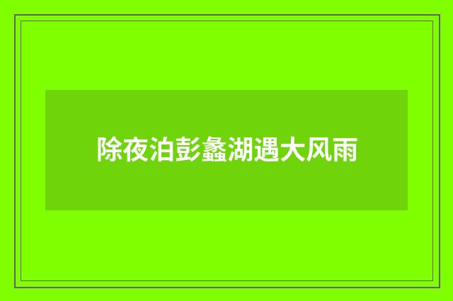 除夜泊彭蠡湖遇大风雨