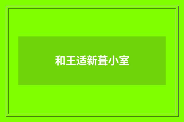 和王适新葺小室