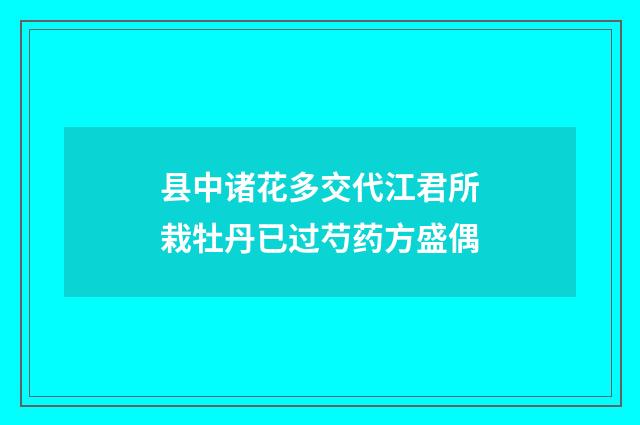 县中诸花多交代江君所栽牡丹已过芍药方盛偶