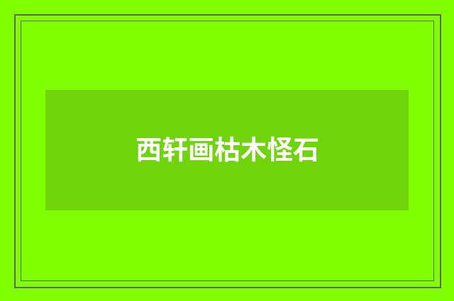西轩画枯木怪石