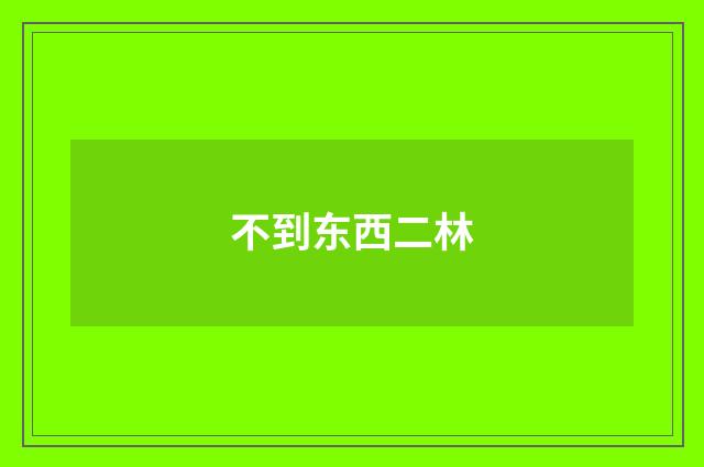 不到东西二林