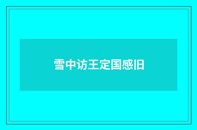 雪中访王定国感旧