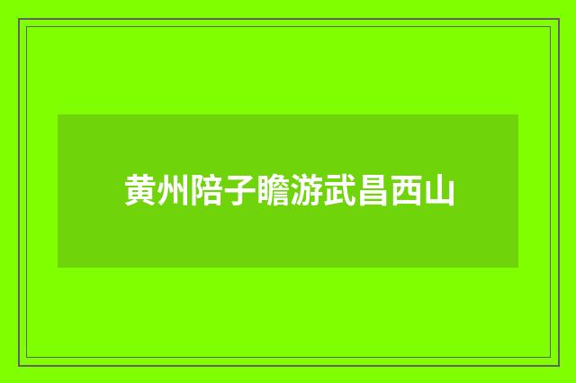 黄州陪子瞻游武昌西山