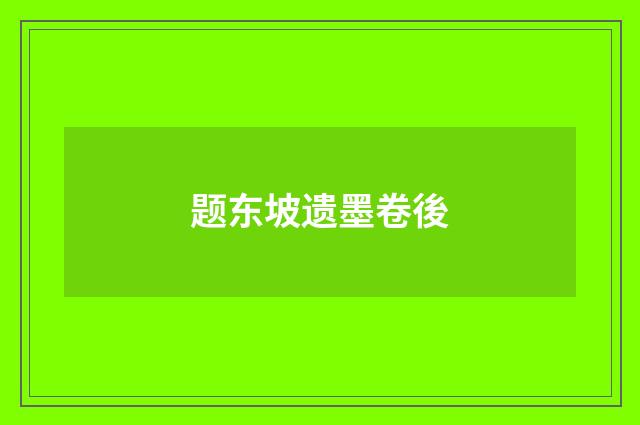 题东坡遗墨卷後