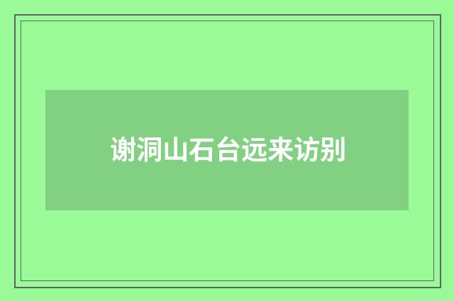 谢洞山石台远来访别