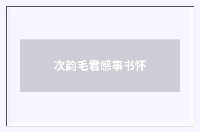 次韵毛君感事书怀
