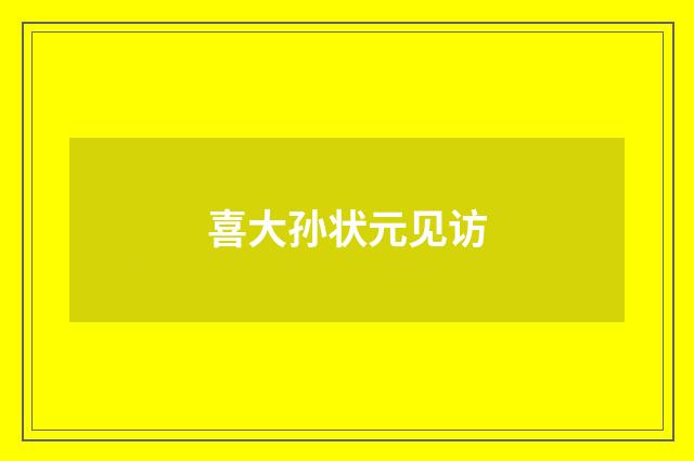 喜大孙状元见访
