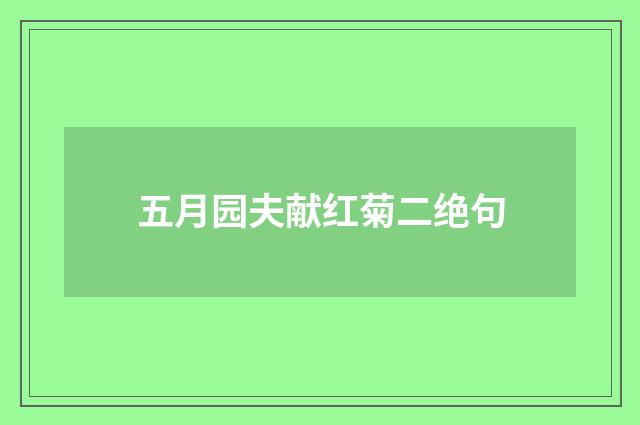 五月园夫献红菊二绝句