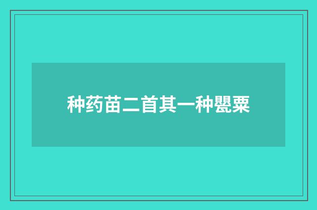 种药苗二首其一种甖粟