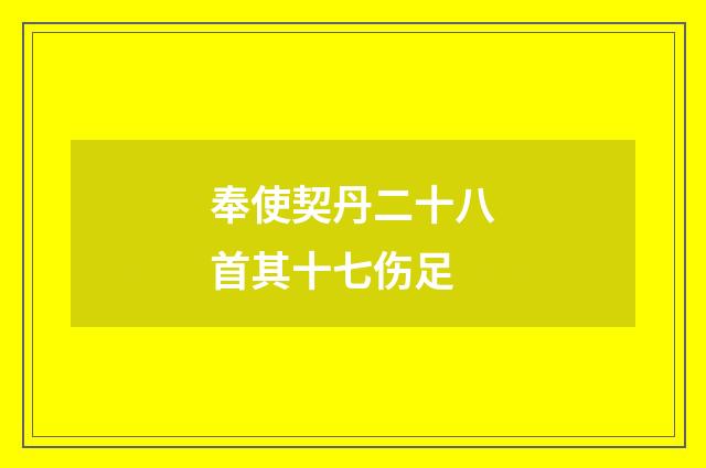 奉使契丹二十八首其十七伤足