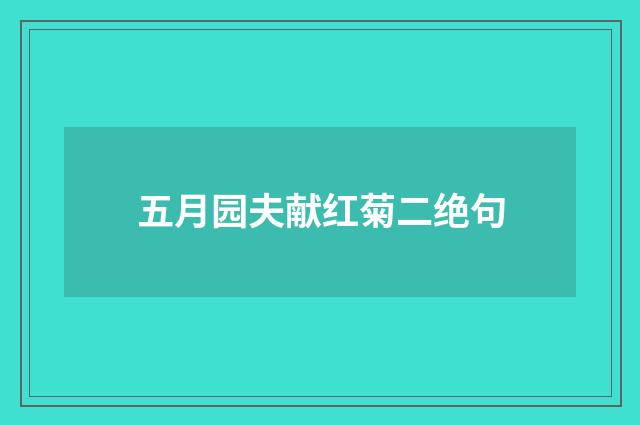 五月园夫献红菊二绝句