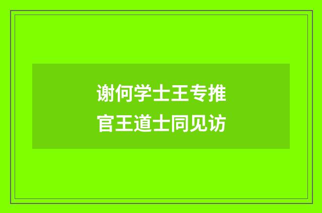 谢何学士王专推官王道士同见访