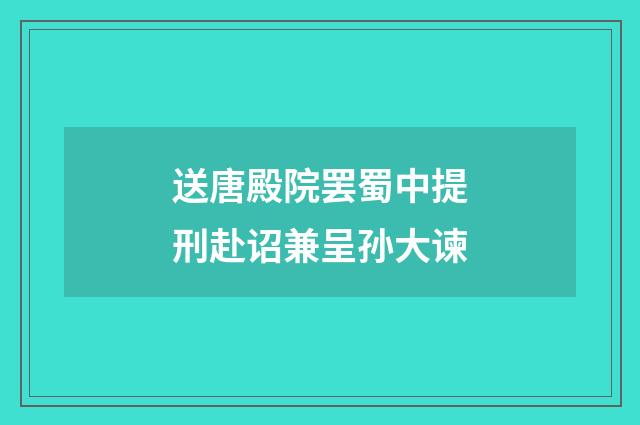 送唐殿院罢蜀中提刑赴诏兼呈孙大谏