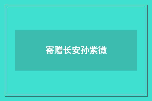 寄赠长安孙紫微