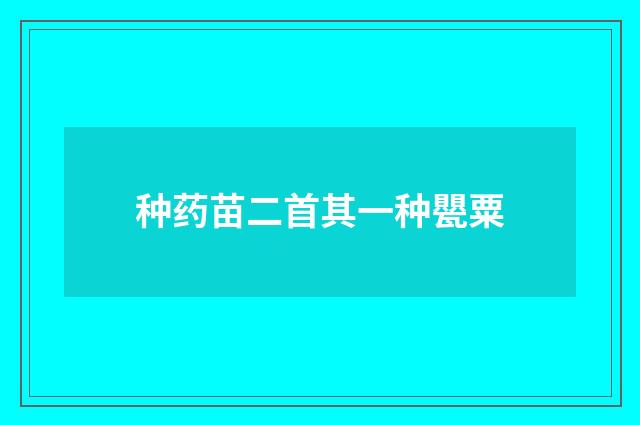 种药苗二首其一种甖粟