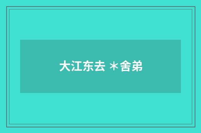 大江东去 ＊舍弟