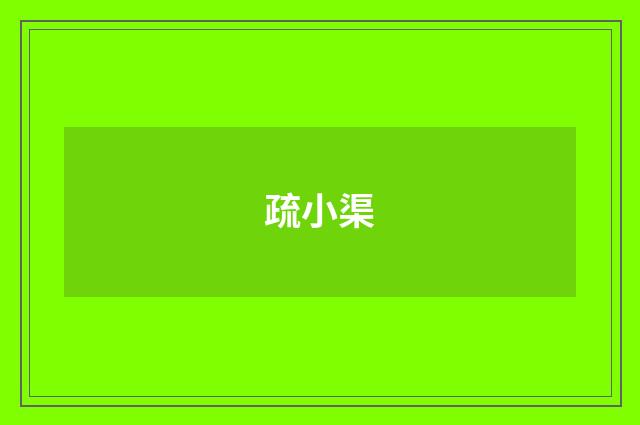 疏小渠